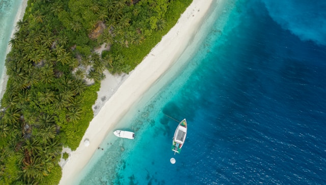 Pourquoi les îles Selvagens devraient-elles être votre prochaine aventure ?