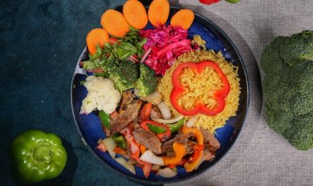 Alimentation équilibrée