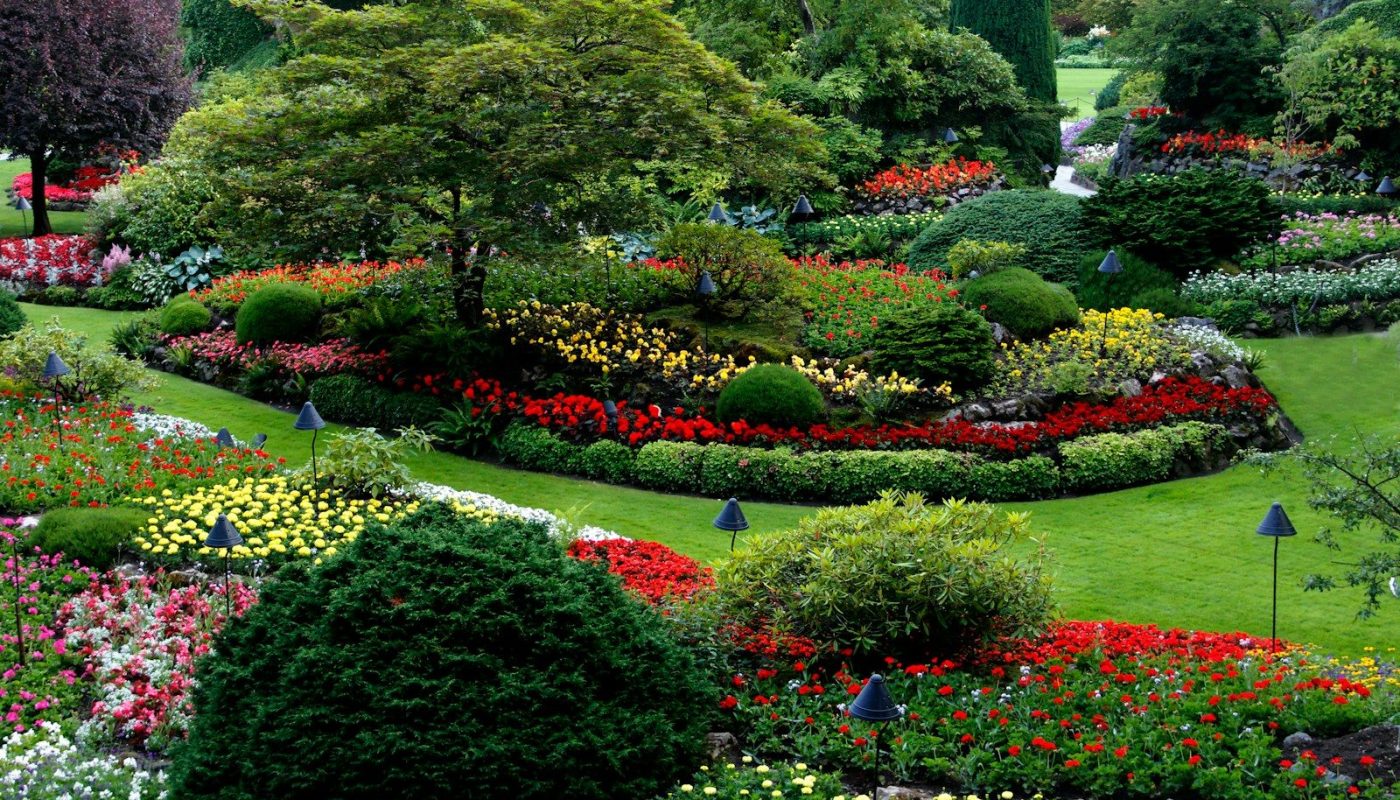 aménagement jardin