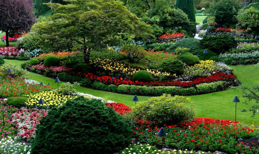 Comment aménager son jardin sans se ruiner ?